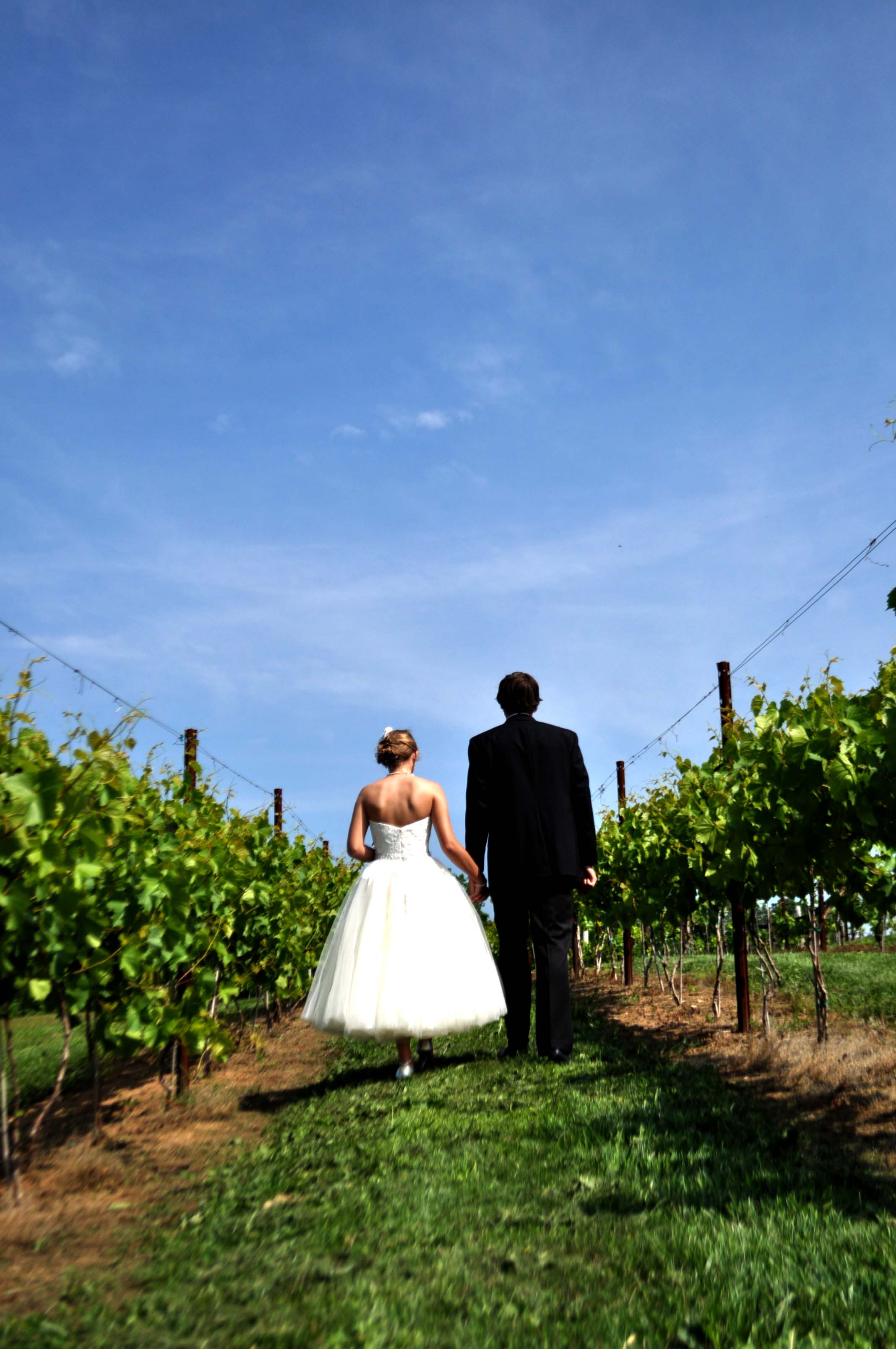Wedding Couple in Vineyard Walking