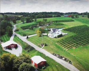 northern Kentucky winery 