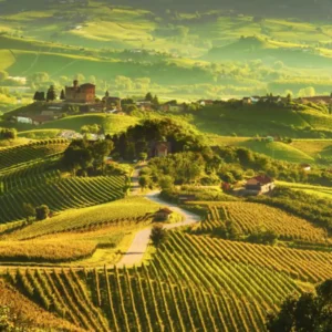 Italy Wine Series